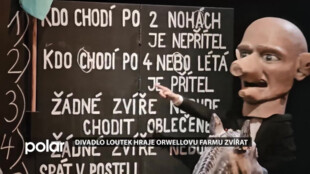 Loutkové divadlo v Ostravě hraje nejznámější bajku George Orwella - Farmu zvířat